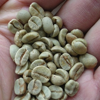 コーヒー豆（生）.jpg